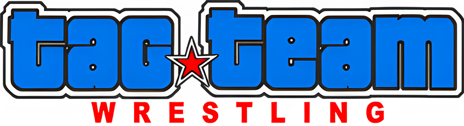 Tag Team Wrestling logo for NES